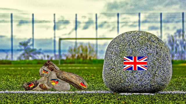 在蓬勃发展 在蓬勃发展