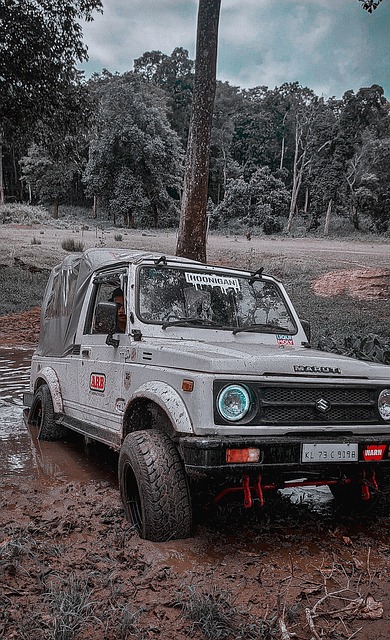 赛舞台抱有 赛舞台抱有