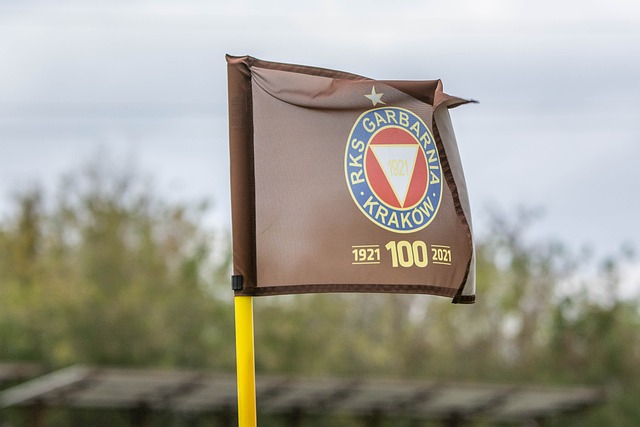 作为泰山队 作为泰山队