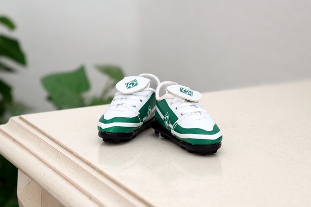 郑钦文从资 郑钦文从资