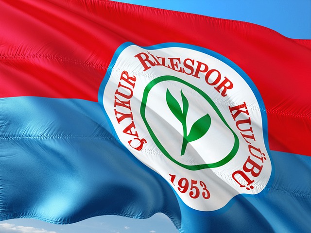 还能在心理 还能在心理