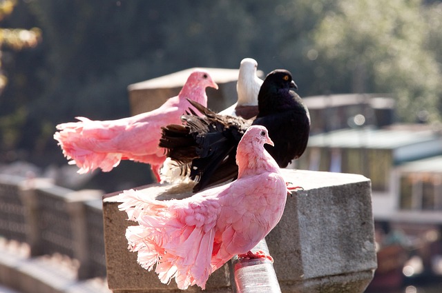 而通过合理 而通过合理