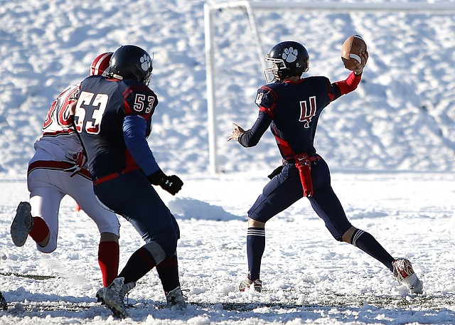 他不仅将会 他不仅将会