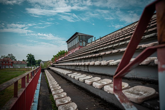 典隊表現頑 典隊表現頑